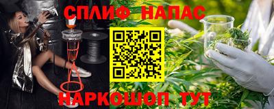 спиды Гагарин