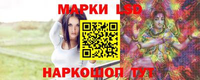 амф Гатчина
