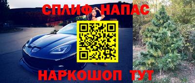 амф Гатчина