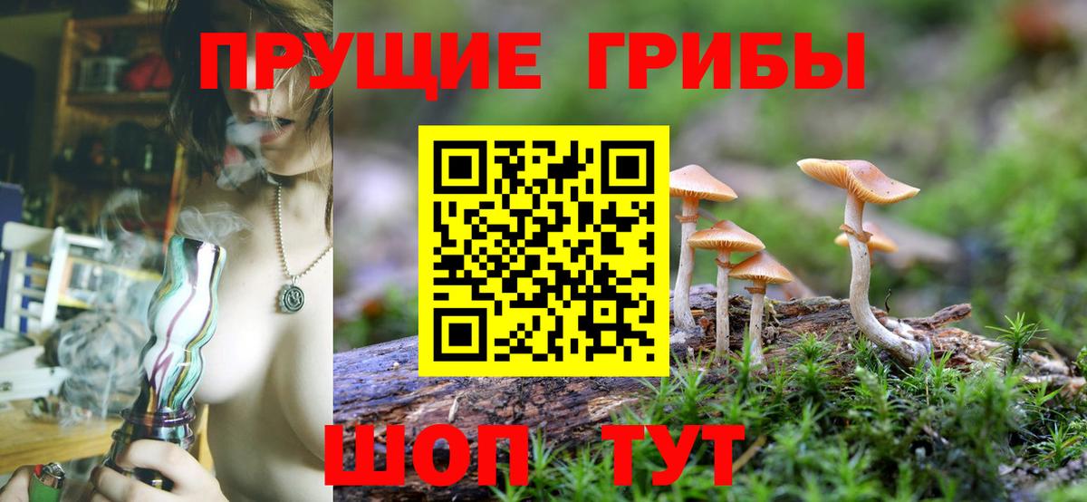 Псилоцибиновые грибы Cubensis Подольск