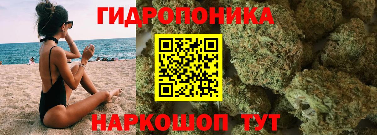 Канабис планчик Подольск